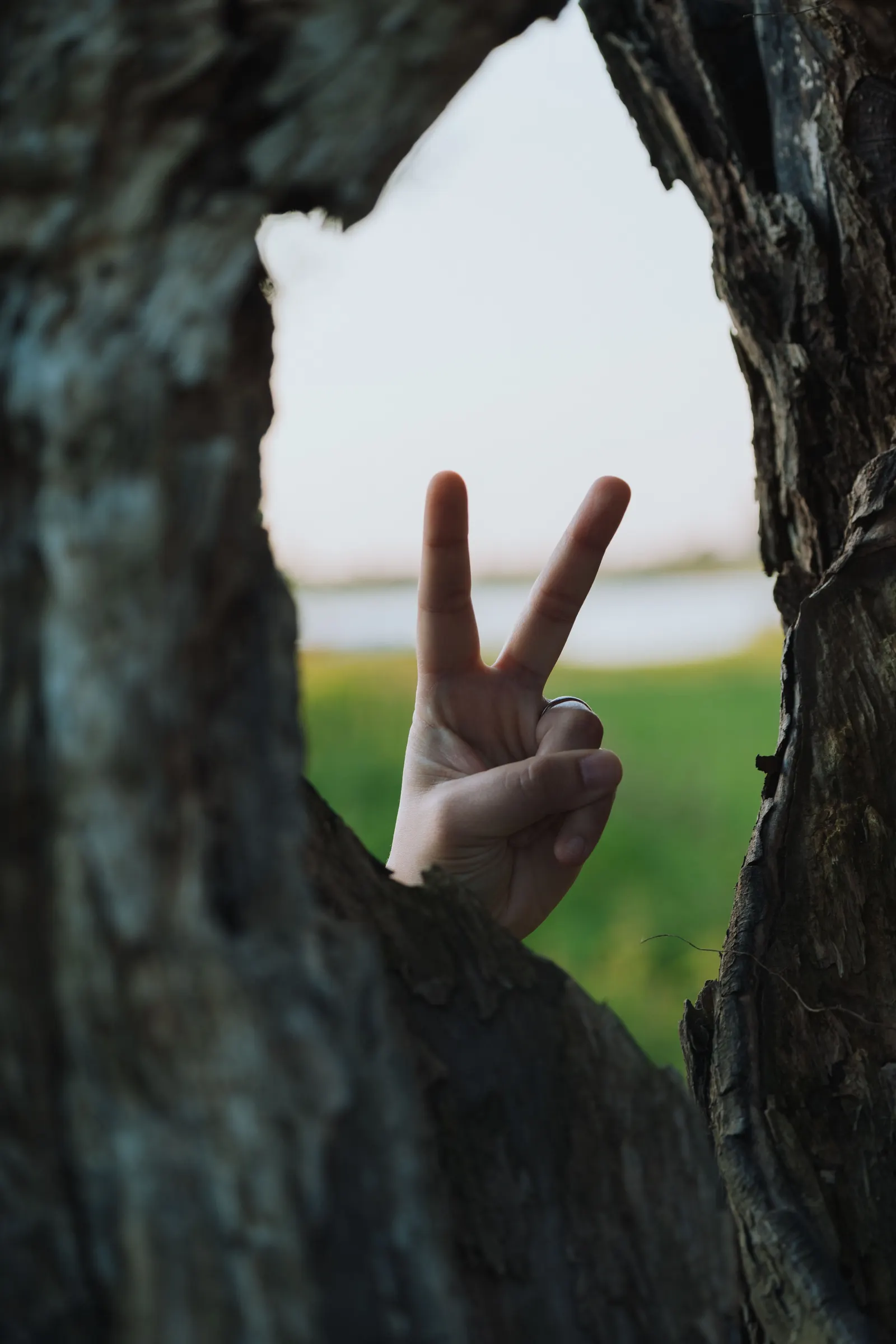 مبادرة شبابية